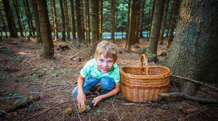 Houbaření s dětmi v jesenických lesích