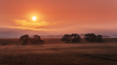 Jesenická savana