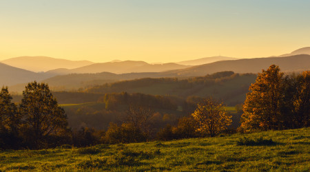 Zlatavá příroda