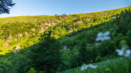 Léto ve Velkém Kotli