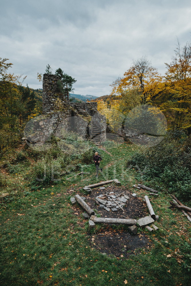 Zřícenina Rychleby