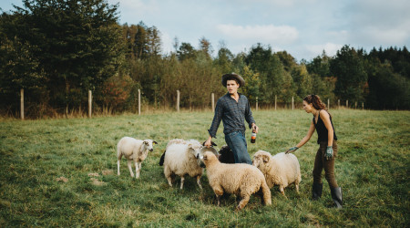 Život na farmě