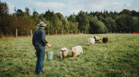 Život na farmě