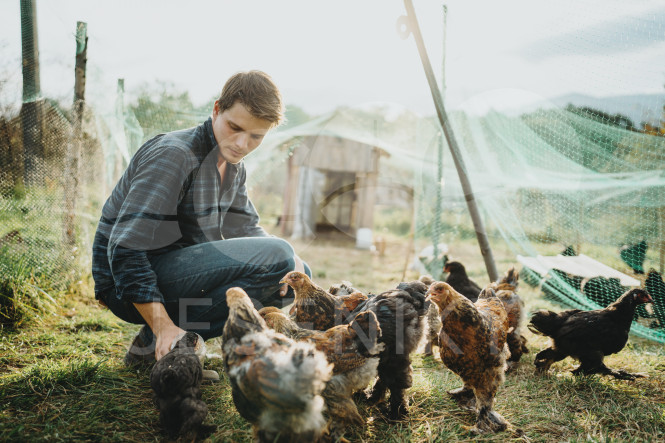 Život na farmě