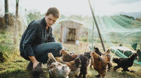 Život na farmě