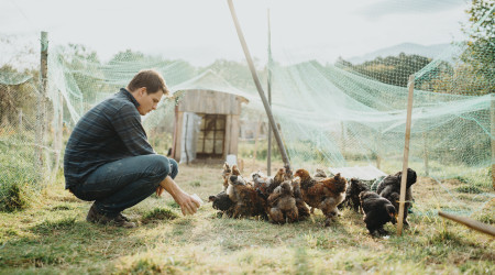 Život na farmě