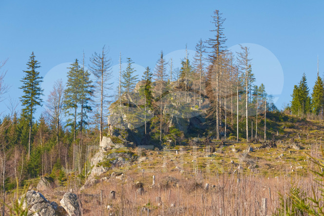 Skály pod Bleskovcem