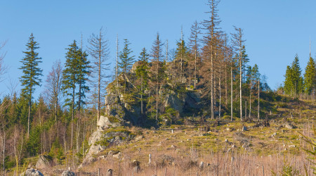 Skály pod Bleskovcem